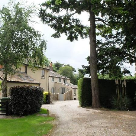 Pippin Heath House B&B Holt  Extérieur photo